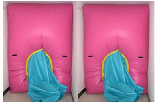 點擊查看詳細信息<br>標題：快速封堵氣囊 閱讀次數(shù)：2692