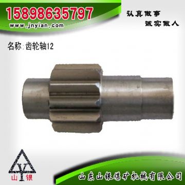 點擊查看詳細信息<br>標題：齒輪軸12 江陰系列配件 閱讀次數(shù)：2184