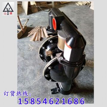 點擊查看詳細信息<br>標題：氣動隔膜泵著名品牌-氣動隔膜泵廠家 閱讀次數(shù)：1971